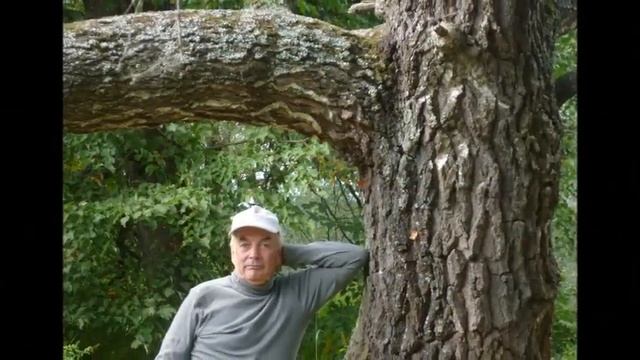 Не уходи - Автор музыка и поёт Иван Крахмалов смотреть онлайн