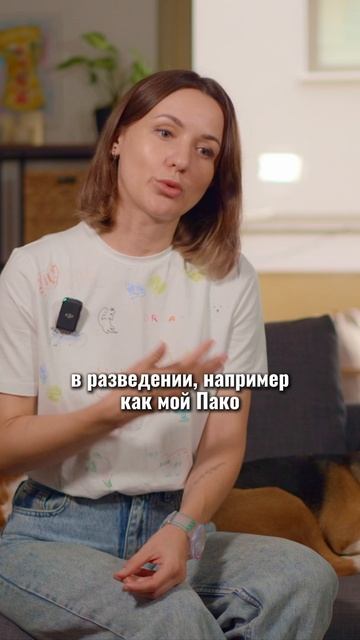 🎁Бесплатные уроки. Жми сюда! смотреть онлайн