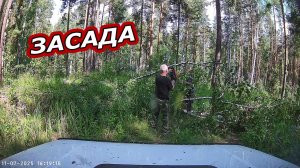 В Тайге на НИВЕ: Приключения продолжаются! Опять засада