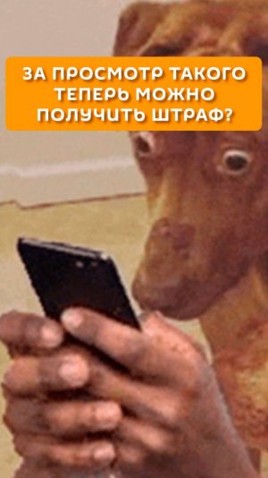За просмотр такого теперь можно получить штраф?
