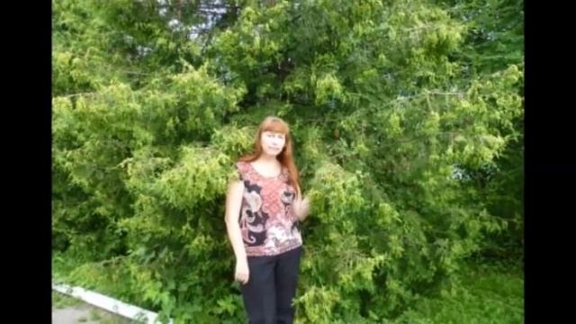 Сладкий яд - Автор музыка и поёт Рустам Нахушев смотреть онлайн