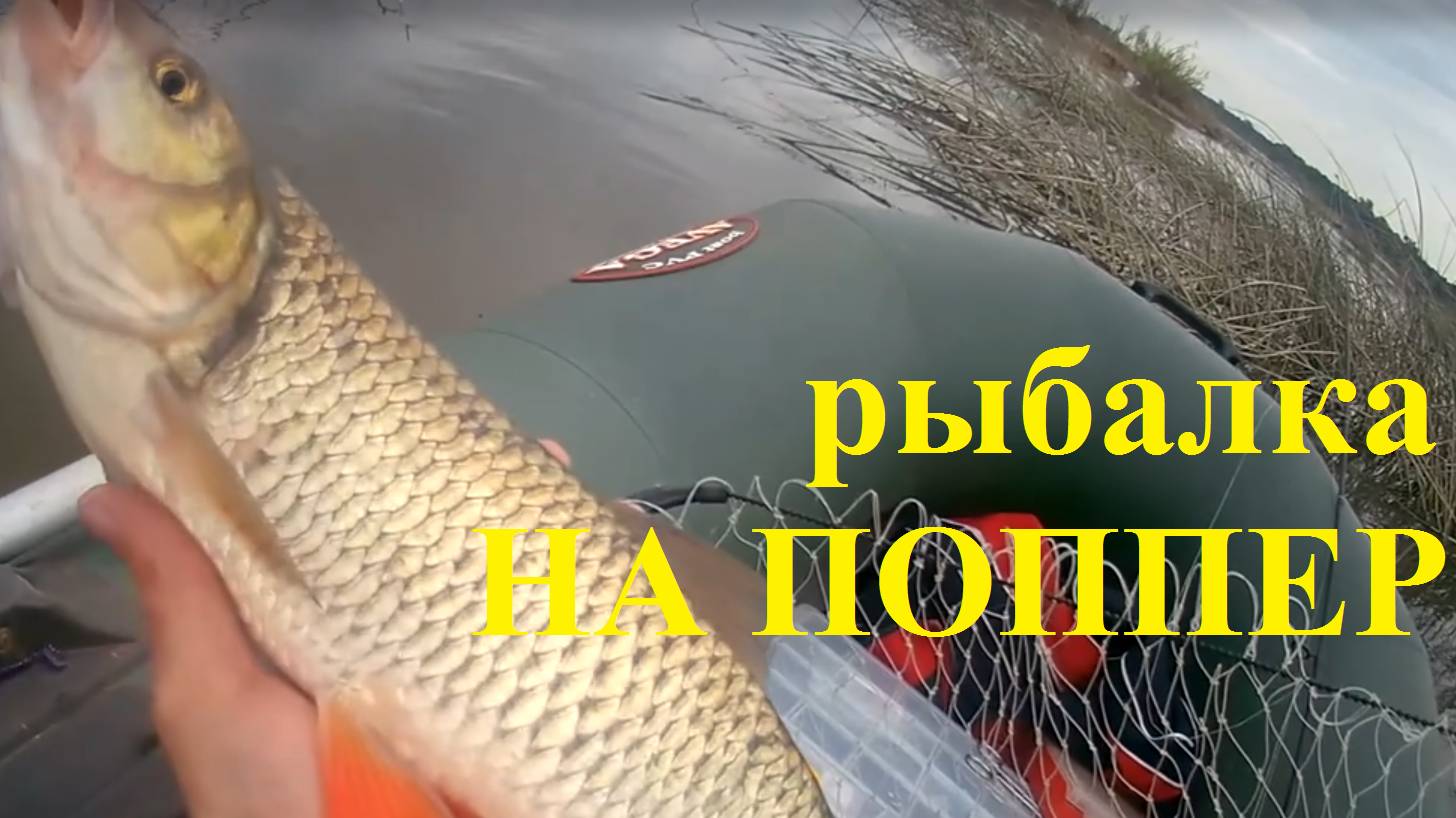 Рыбалка на поппер. Азарт и адреналин! #1 смотреть онлайн
