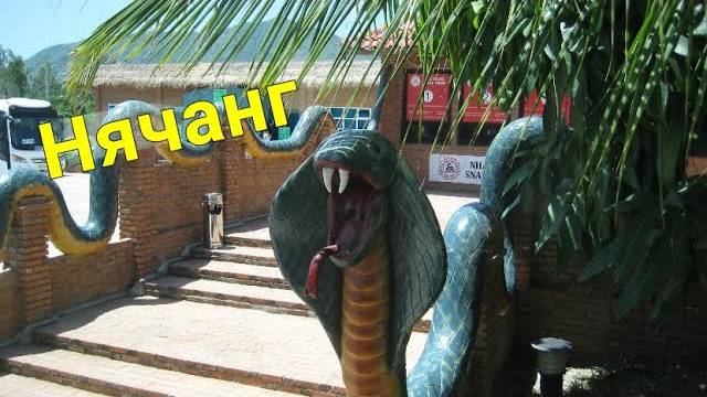 Змеиное шоу Нячанг смотреть онлайн