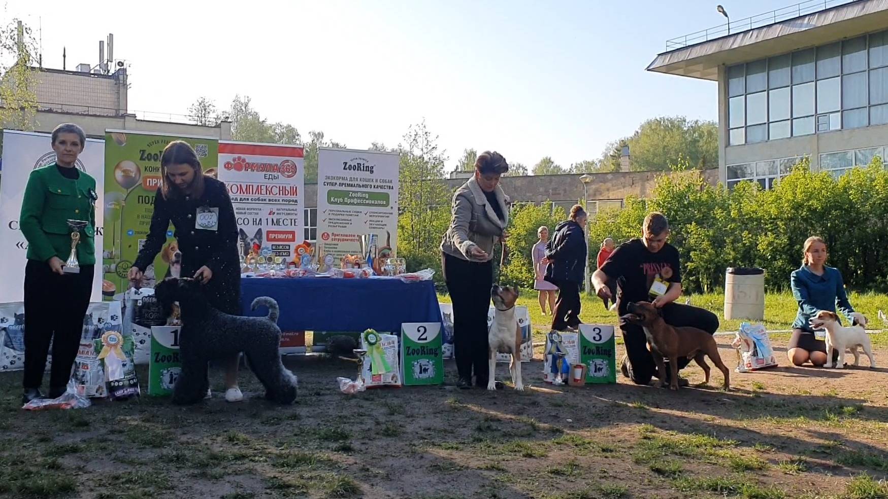 24.05.2025, СПб. Клуб "Элита" (РКФ, ОАНКОО). Выставка собак САС 3 группы FCI смотреть онлайн