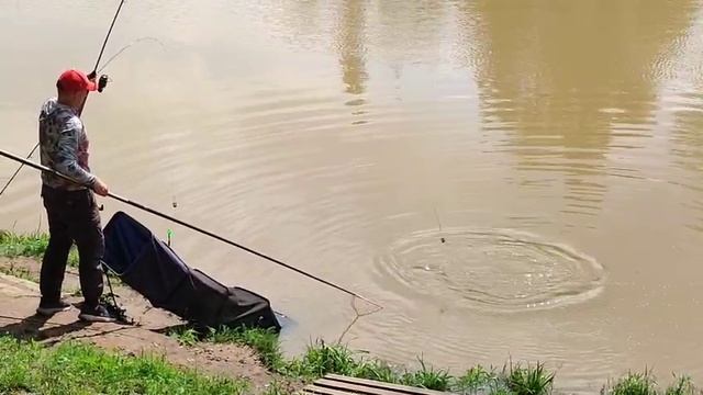 Карпуша на кукурузу смотреть онлайн