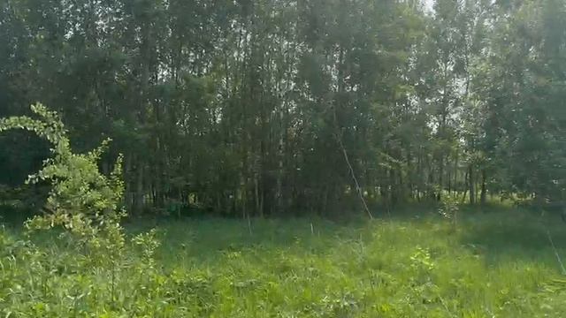 ЗУ :1646 д. Алексеевское смотреть онлайн