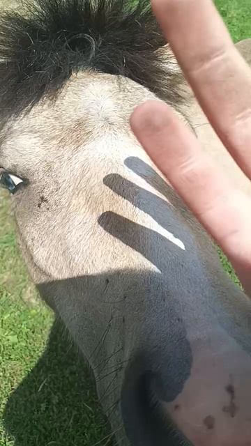 ИГОГО КРАСИВАЯ смотреть онлайн