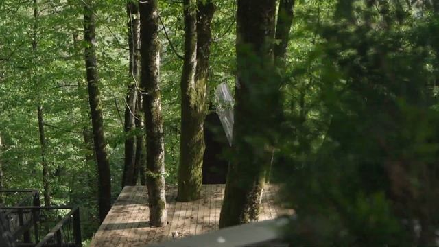 Glemping Dzen polyana смотреть онлайн