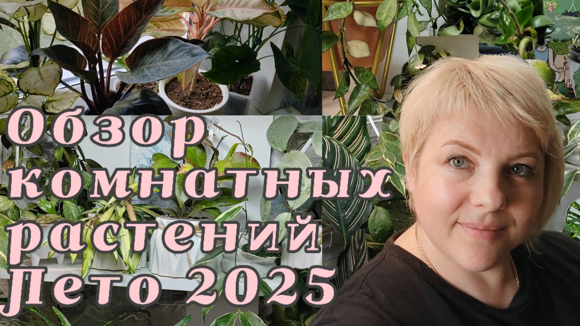 Обзор комнатных растений | Лето 2025 смотреть онлайн