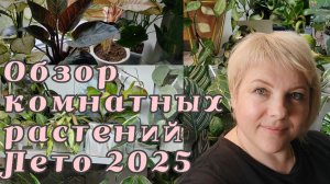 Обзор комнатных растений | Лето 2025