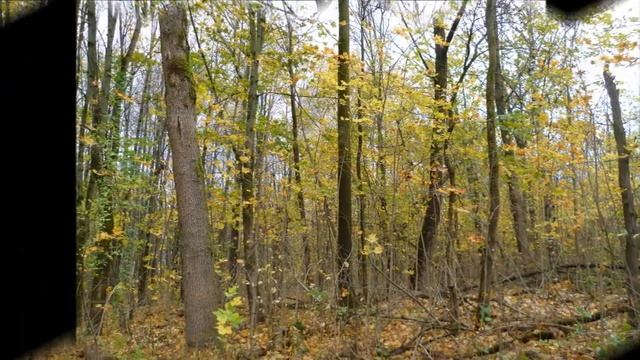 Ты моя судьба - Автор музыка и поёт Андрей Шпехт смотреть онлайн