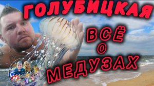 💥ГОЛУБИЦКАЯ💥МЕДУЗЫ😱ИНСТРУКЦИЯ ПО МЕДУЗАМ?КАКИЕ ОПАСНЫЕ? #голубицкая #азовскоеморе