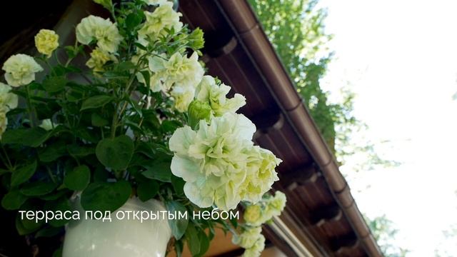 Высокий берег