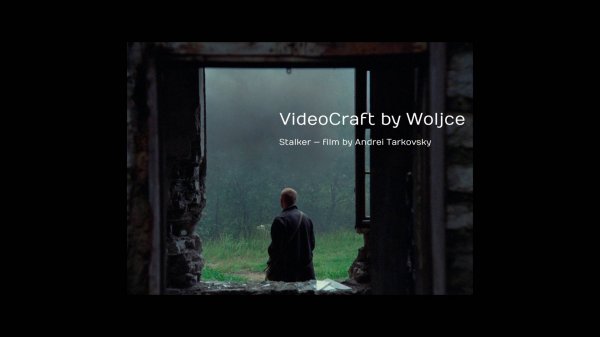 Stalker 1979 film (Andrei Tarkovsky) #movie