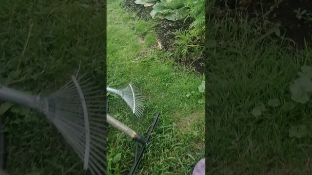 кусака баробака