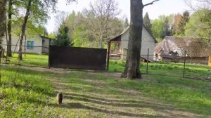 ВСЯ ПРАВДА про ПОДАРОК от БЕЛОРУСА, который невозможно переоценить по МЕРКАМ ГЕРМАНИИ. ЭТО ВАМ НЕ