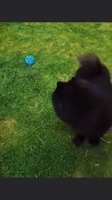 Да что Вы знаете о лени смотреть онлайн