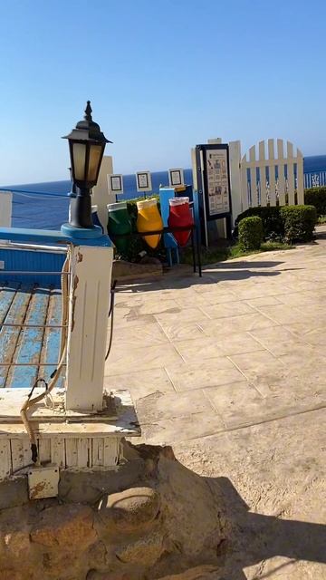 Первая прогулка по территории нашего отеля ISLAND VIEW RESORT / морюшко ☺️ / Шарм / Египет смотреть онлайн