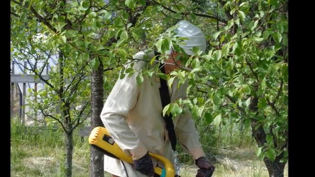 Со мной ты принцесса - Автор музыка и поёт Никита Хазановский смотреть онлайн