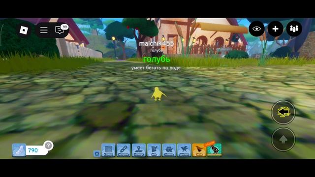 история о птички часть 1