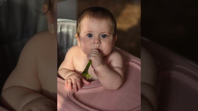 Каролина смотреть онлайн