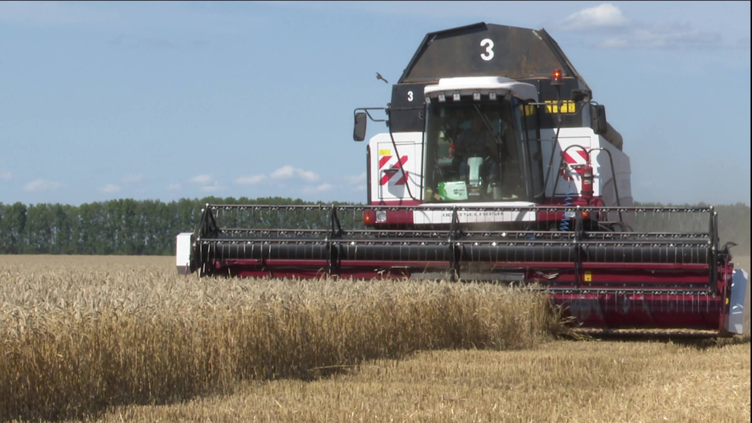 Около недели земледельцы района ведут борьбу за урожай смотреть онлайн