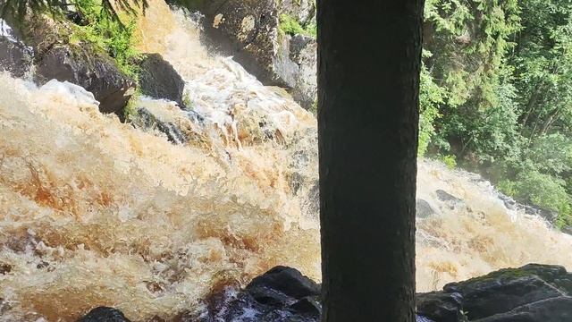 Навигатор не туда. Белые мосты. Вид сверху