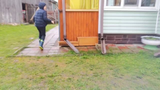 Penguin №14 Chloe Shower