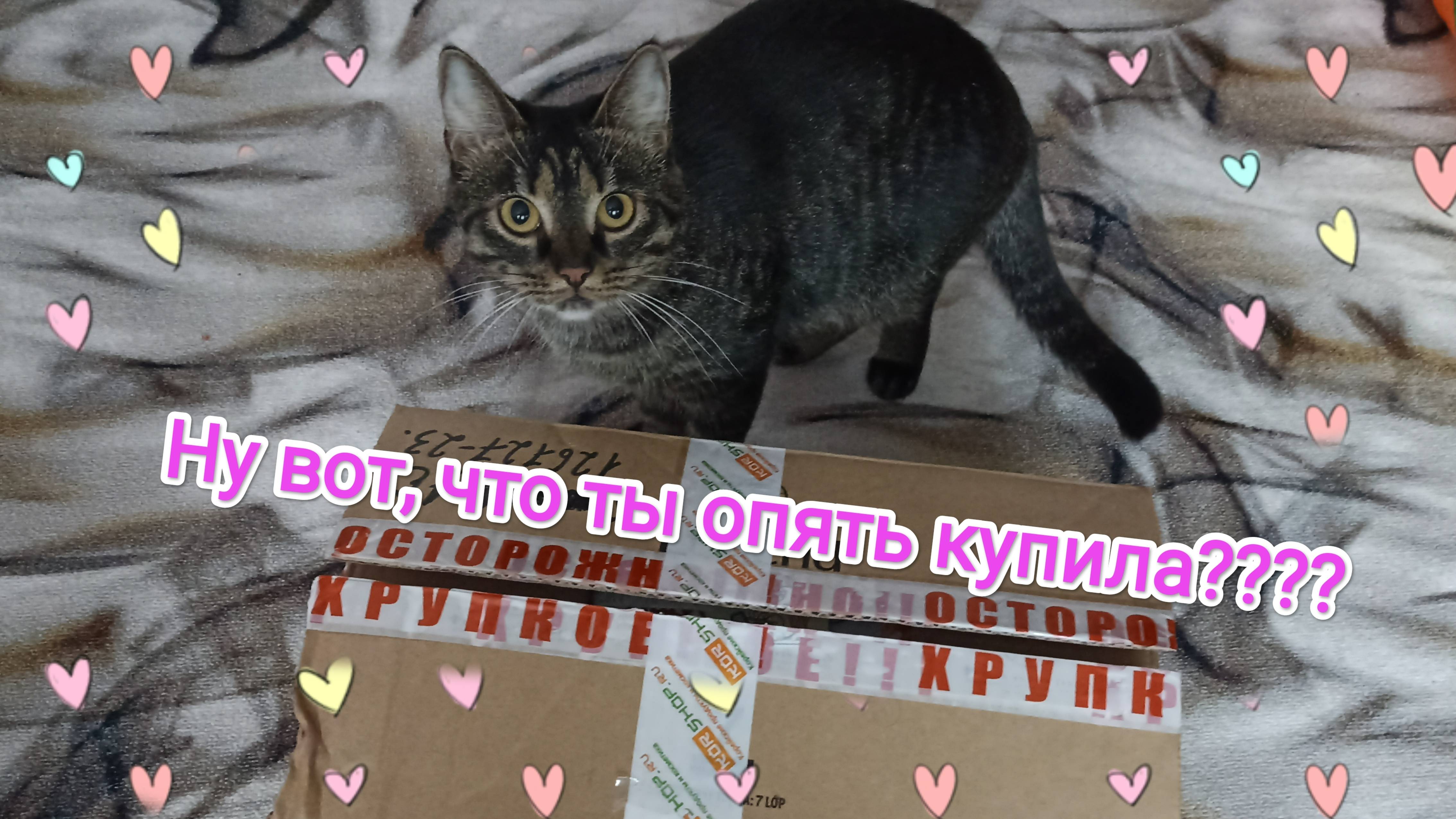 Обзор закупки на Коршоп.ру смотреть онлайн