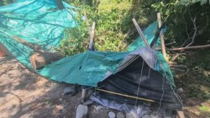 ДЕРЕВО УПАЛО НА ПАЛАТКИ! ЖЕСТЬ НА ДИКОМ ПЛЯЖЕ В СОЧИ