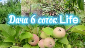 ОЧЕРЕДНОЙ НАБЕГ НА ДАЧУ 6 СОТОК//ПОСАДКА, ПОСЕВ В СЕРЕДИНЕ ИЮЛЯ 2025