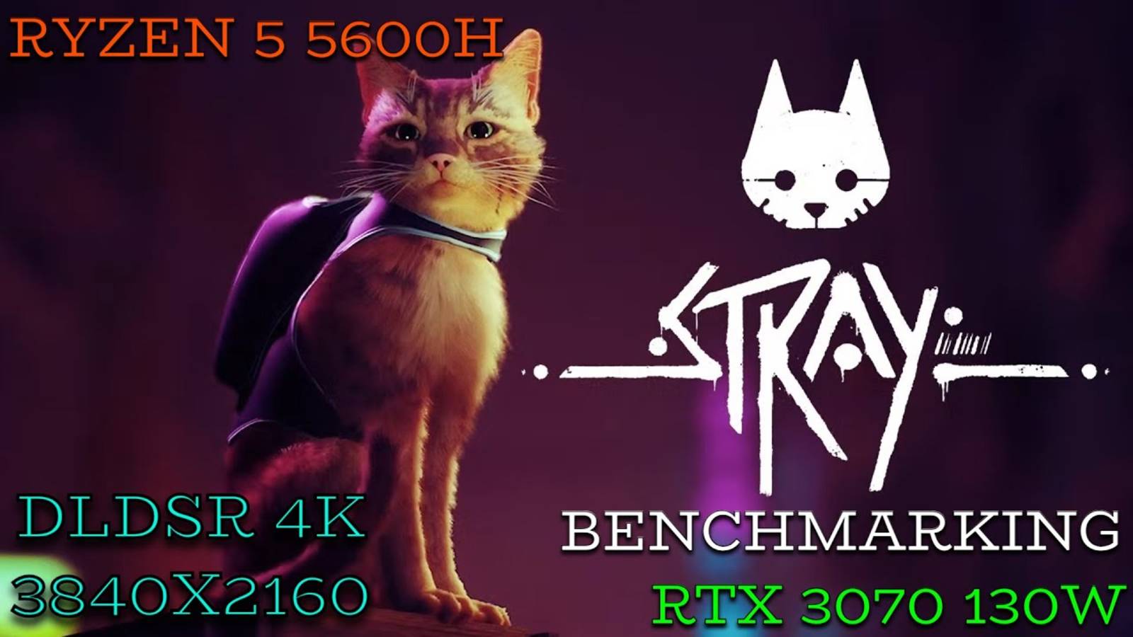 Stray DLDSR 4K RTX 3070 8GB High Settings | Lenovo Legion 5 смотреть онлайн