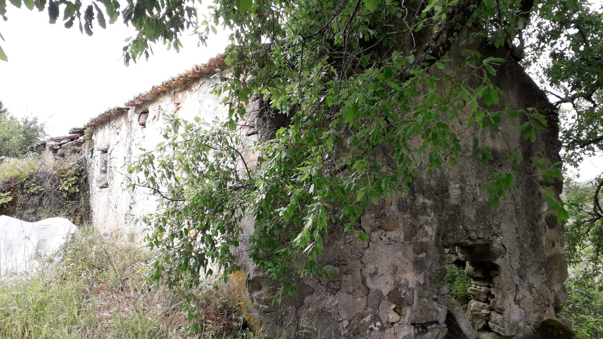 Реконструкция (ремонт). Часть 2