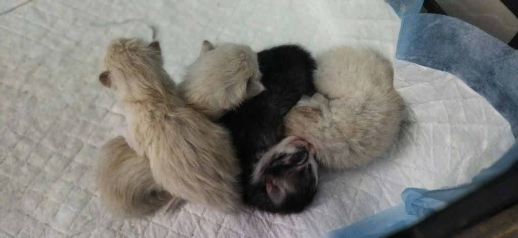 мои:) 💋 смотреть онлайн