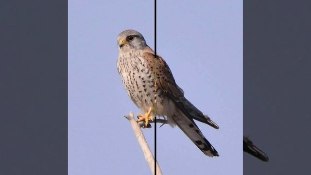 Это интересно-38