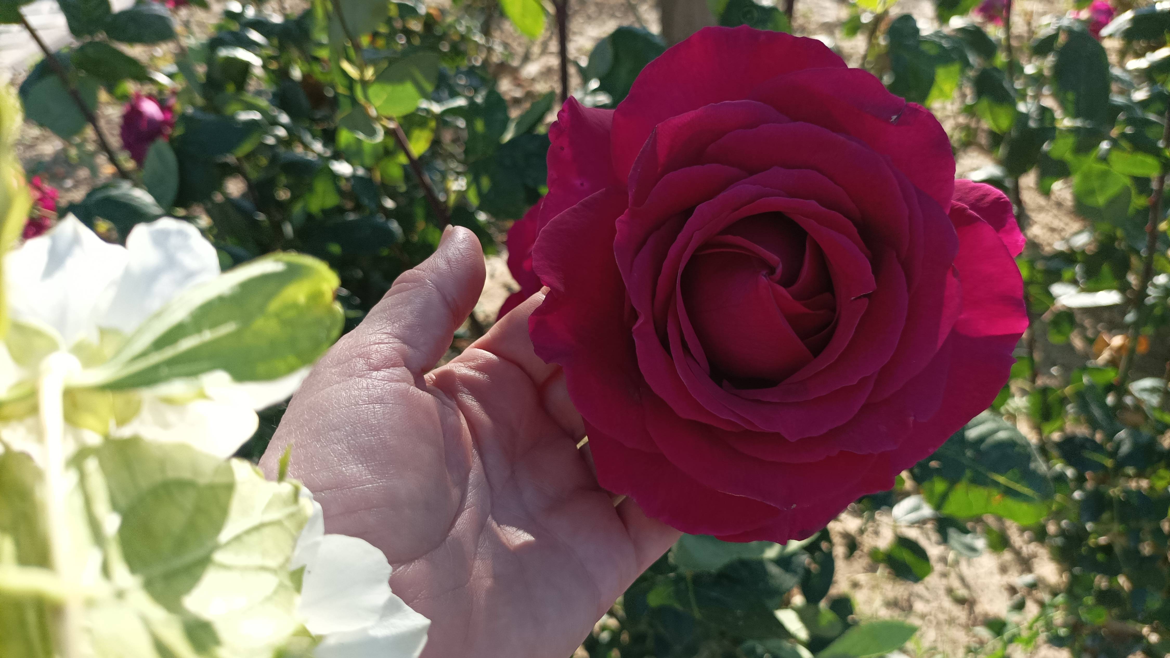 Пляж Солнечный