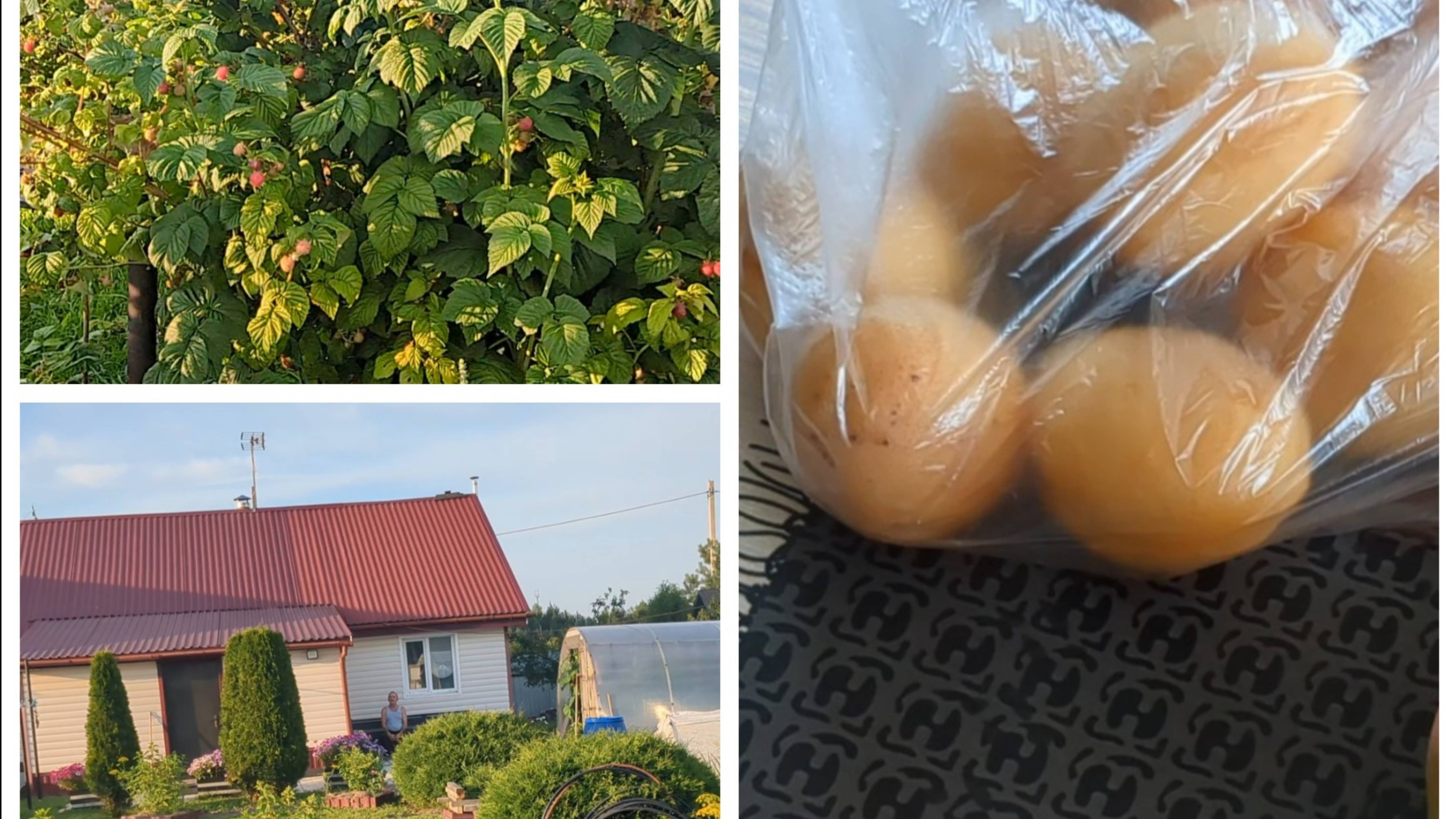 Наводим красоту на участке. смотреть онлайн