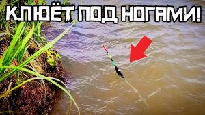 ПРОСТАЯ СНАСТЬ СРАБОТАЛА! Закинул Под Обрыв и НАЧАЛСЯ УЖАС! Рыбалка в Июле 2025