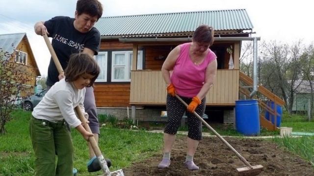 ДАЧНИКИ -ШУТОЧНАЯ ПЕСНЯ -сл Любовь Кузнецова муз Шулик Фингерова испол Любовь Кузнецова смотреть онлайн