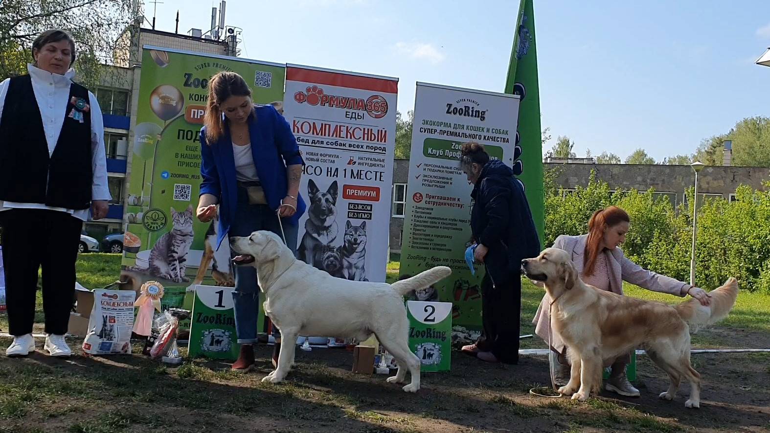 24.05.2025, СПб. Клуб "Элита" (РКФ, ОАНКОО). Выставка собак САС 8 группы FCI смотреть онлайн