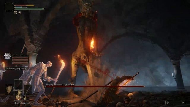 Elden Ring Walkthrough - Катакомбы под скалой | Цербер кладбища Древа Эрд смотреть онлайн