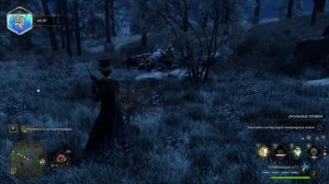 49. Hogwarts Legacy Загадка Дорана