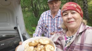 Тихая охота 😊 //неожидала🤷 // нарвалась на грибы //