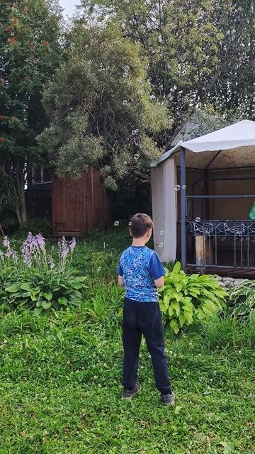 тестирование  игрушки из фикс прайса