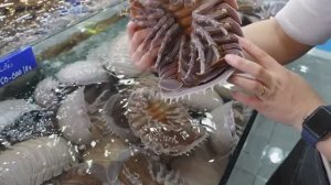 Готовим диковинные морепродукты