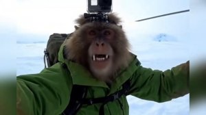 Блогер Бомжезьян, часть 2 .