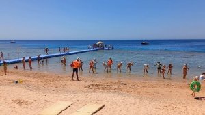 Египет 2025 Лена - Зарядка