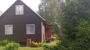 Дача. Июль 2025 г. Что ждать от этого сезона.