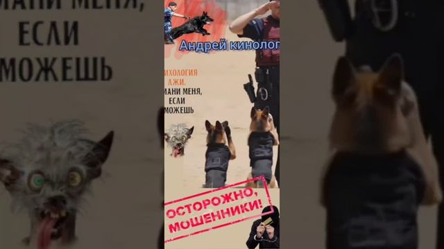 Специалисты, продлеватели и прочая нечисть! смотреть онлайн