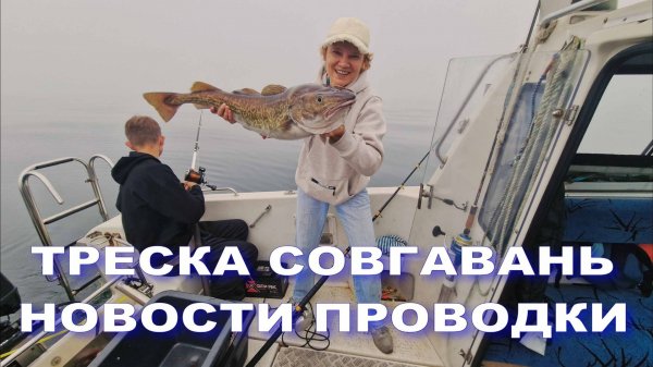 #Треска_креветка_Совгавань